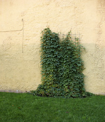 Similar image 1995895