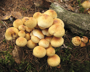 Similar image 1995952