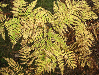 Similar image 1995959