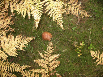 Similar image 1995974