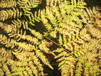 Similar image 1995977