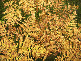 Similar image 1996051