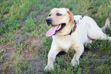 Similar image 1997396