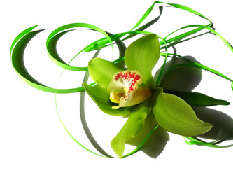 Similar image 1997552