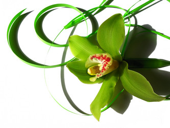 Similar image 1997593