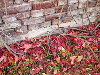 Similar image 1997595