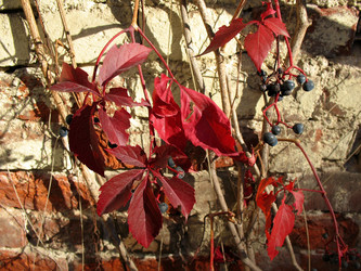 Similar image 1997606