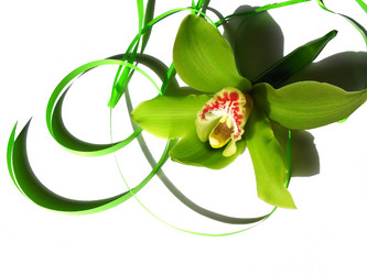 Similar image 1997607