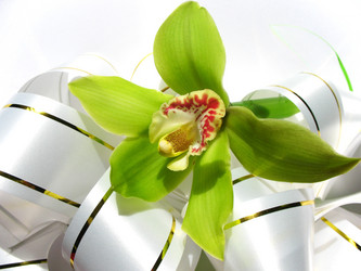 Similar image 1997608