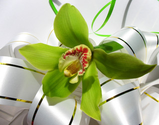 Similar image 1997610