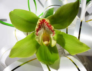 Similar image 1997611