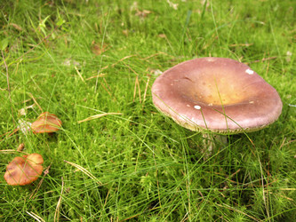 Similar image 1997653