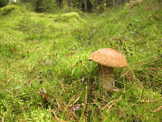 Similar image 1997660