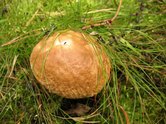 Similar image 1997661