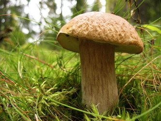 Similar image 1997662