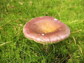 Similar image 1997664