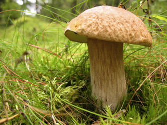 Similar image 1997677