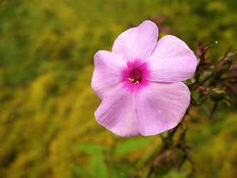 Similar image 1997751