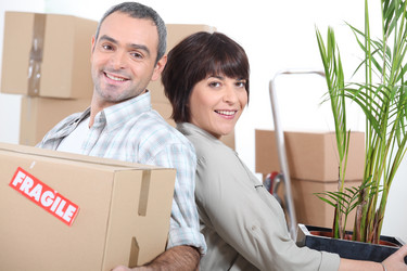 Similar image 2006058