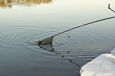 Similar image 2006333