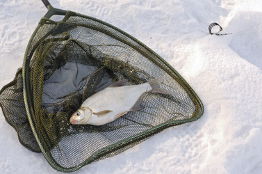 Similar image 2006337