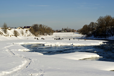 Similar image 2006355