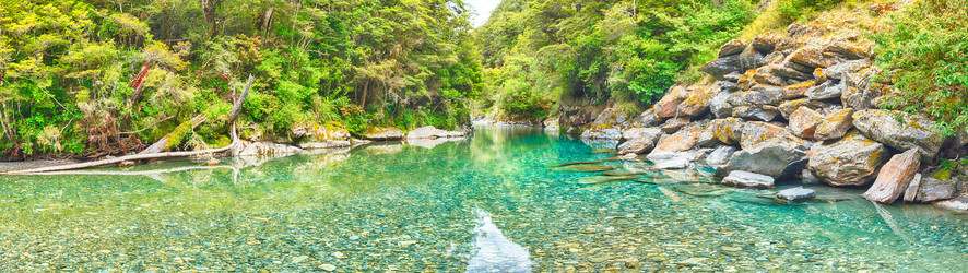 Similar image 2006611