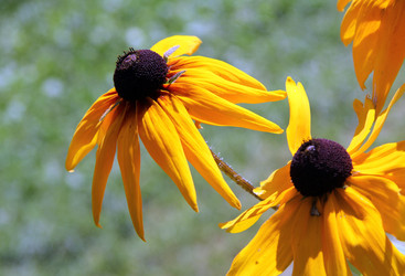 Similar image 2006636