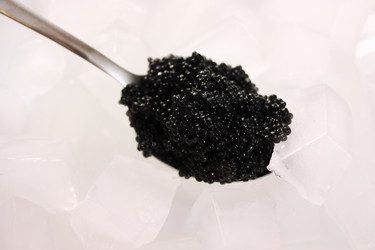 Similar image 2006839