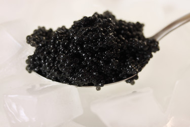 Similar image 2006856