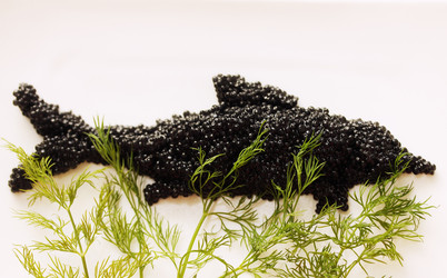 Similar image 2006873