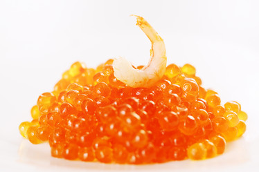 Similar image 2007455