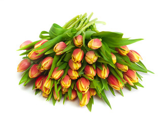 Similar image 2007524