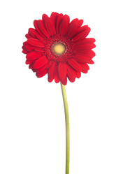 Similar image 2007527