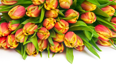 Similar image 2007528