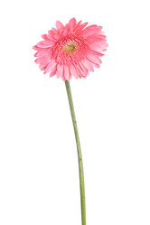 Similar image 2007529