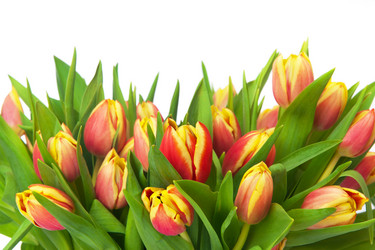 Similar image 2007537