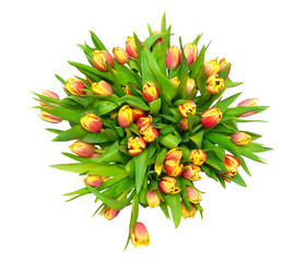 Similar image 2007539