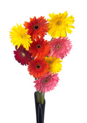 Similar image 2007542