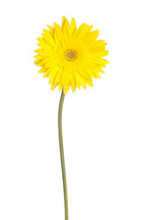 Similar image 2007544