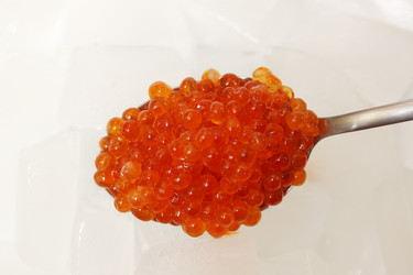 Similar image 2007547