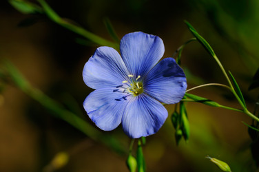 Similar image 2007570