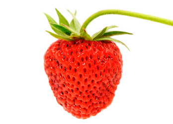 Similar image 2007596