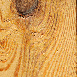 Similar image 2007600