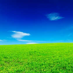 Similar image 2007603