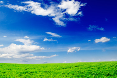 Similar image 2007604