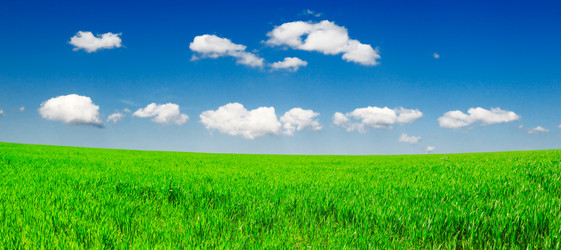 Similar image 2007613