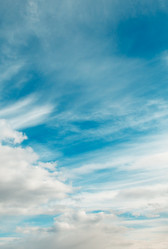 Similar image 2007649