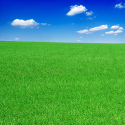 Similar image 2007652