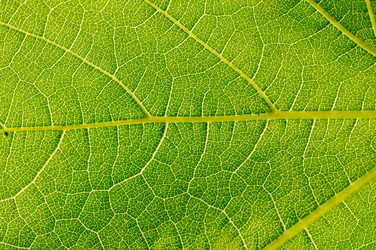 Similar image 2007663